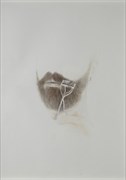 Ilhan Sayın, Birtakım Meseleler, Sakal-2, 2013, Kagit uzerine renkli kuru boya, 60x46 cm, Fotograf: Yapı Kredi Kultur Sanat için Koray Senturk